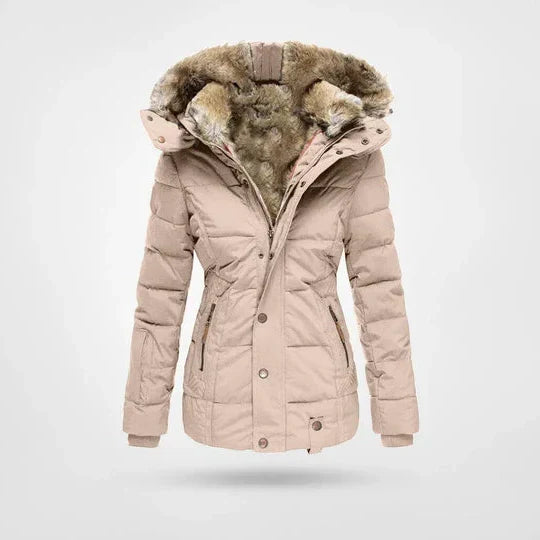 Women's Cozy Hooded Zip-Up Puffer Winter Jacket 4