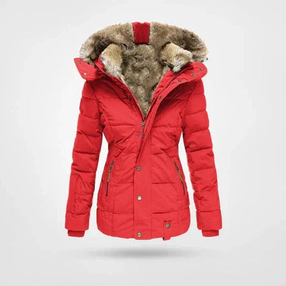 Women's Cozy Hooded Zip-Up Puffer Winter Jacket 2